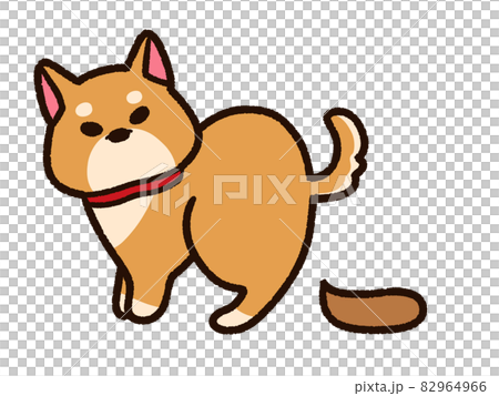 糞をするペットの柴犬 82964966