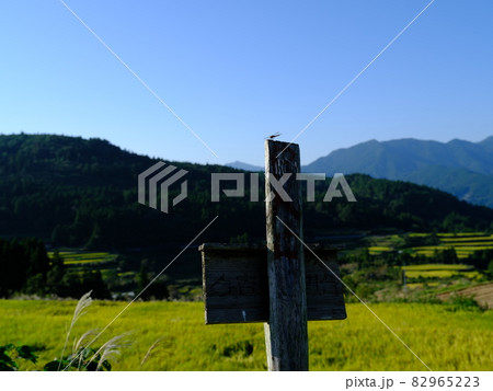 吉延の棚田の立て看板と赤トンボ 吉延の棚田の立て看板と赤トンボ 82965223