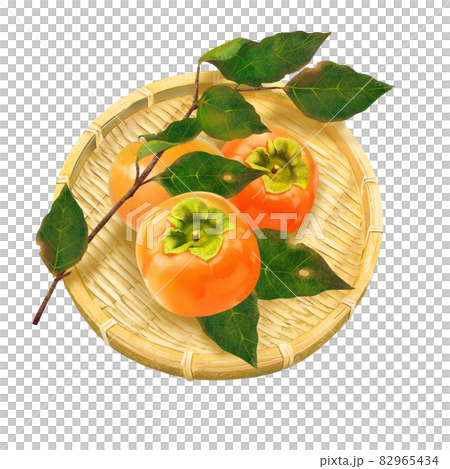 籠に入った美味しそうな熟れた柿と葉の盛り合わせ秋の味覚白バックベクターイラスト素材 82965434