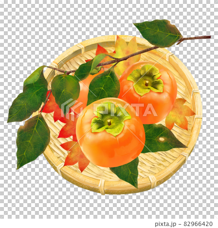 籠に入った熟れた柿と柿の葉やもみじなど秋の味覚白バックベクターイラスト素材 82966420