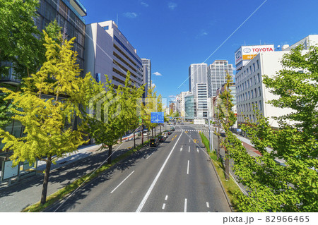 大阪市西区 なにわ筋 西大橋の交差点 堀江歩道橋からの眺め 大阪市西区 なにわ筋 西大橋の交差点 堀江歩道橋からの眺め 82966465