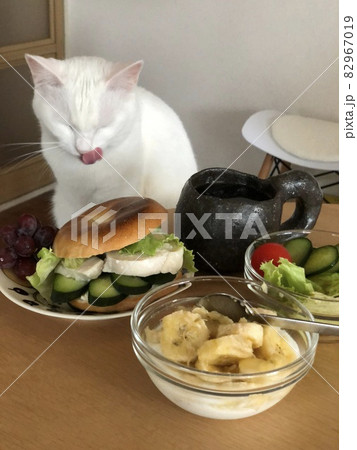 猫とベーグル 猫とベーグル 82967019