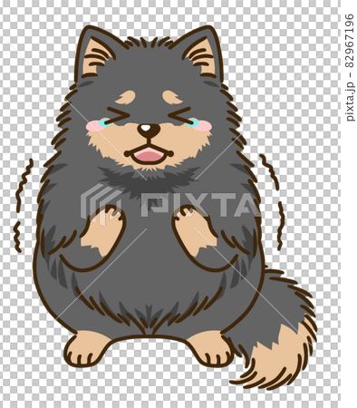 Frightened Pomeranian (Black & Tan) 82967196