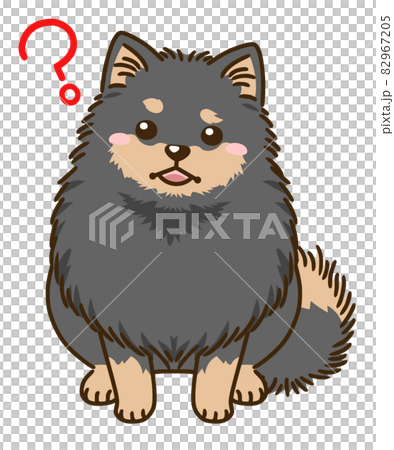 想知道博美犬（黑色和棕褐色） 82967205