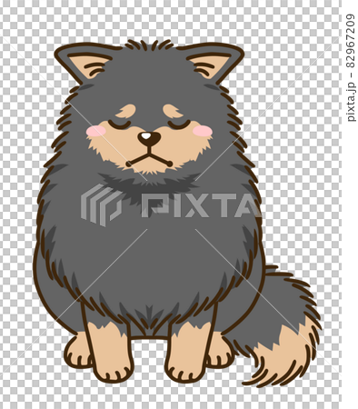 沮喪的博美犬(黑色和棕褐色) 沮喪的博美犬(黑色和棕褐色) 82967209