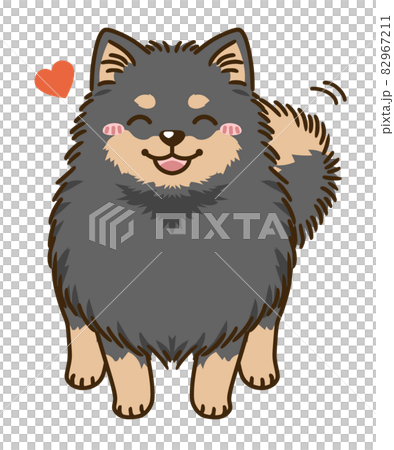 Natsuki 博美犬(黑色和棕褐色) Natsuki 博美犬(黑色和棕褐色) 82967211