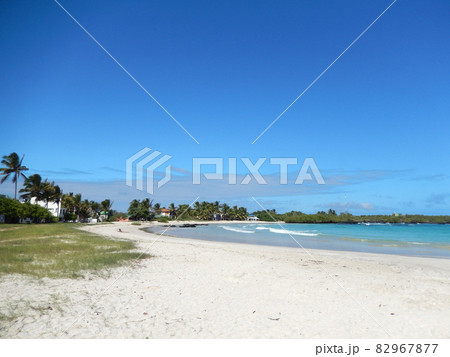 ガラパゴス諸島の各島々の自然景観 82967877