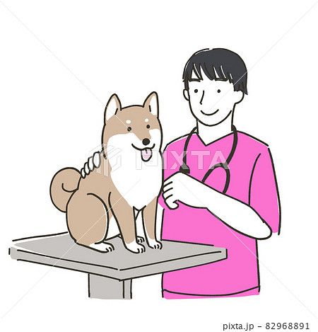 診察する獣医師のイラスト 診察する獣医師のイラスト 82968891