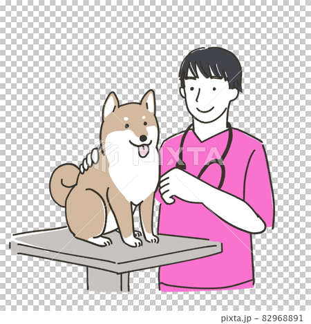 診察する獣医師のイラスト 診察する獣医師のイラスト 82968891