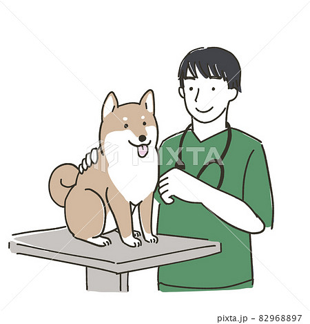 診察する獣医師のイラスト 診察する獣医師のイラスト 82968897