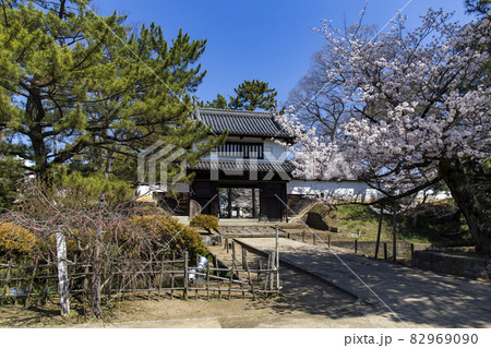 土浦城（亀城）の桜 82969090