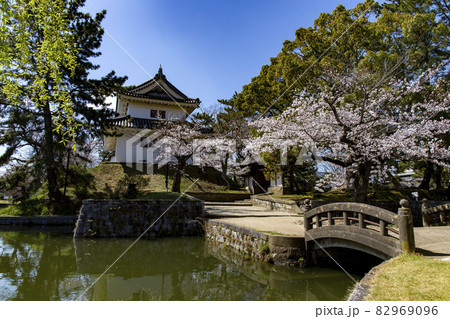 土浦城(亀城)の桜 土浦城(亀城)の桜 82969096