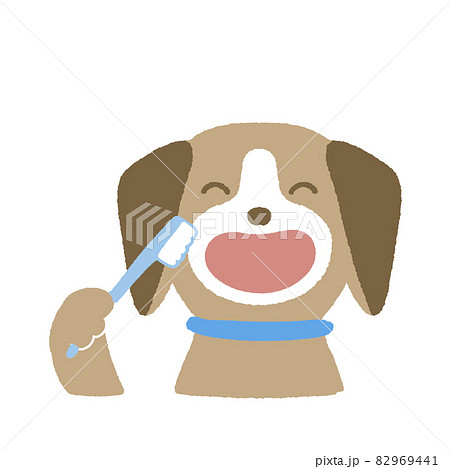 はみがきする犬 はみがきする犬 82969441