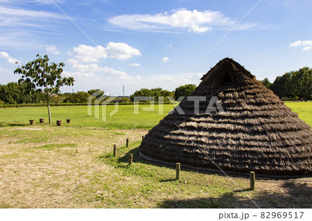 上高津貝塚ふるさと歴史の広場 上高津貝塚ふるさと歴史の広場 82969517