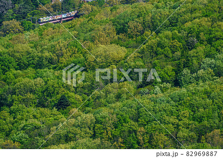 新緑の秩父鉄道 新緑の秩父鉄道 82969887