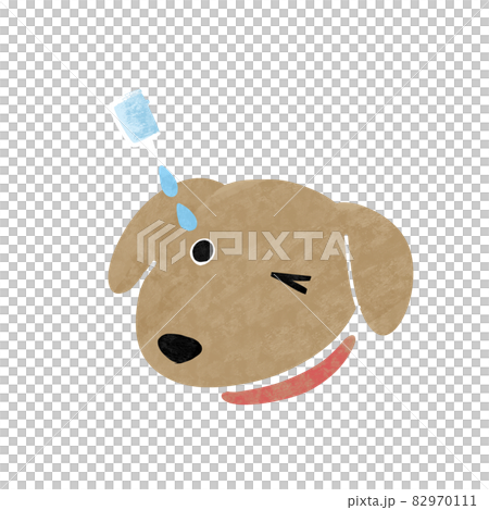 目薬をさす犬 82970111