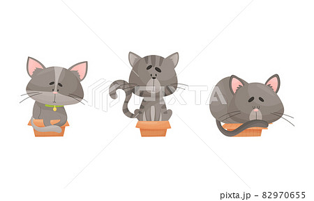 Cute gray cats in boxes set. Funny pets sitting, sleeping and playing in cardboard box cartoon vector illustration Cute gray cats in boxes set. Funny pets sitting, sleeping and playing in cardboard box cartoon vector illustration 82970655