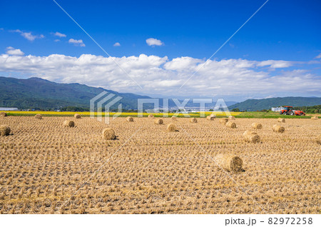 稲藁ロールのある風景 稲藁ロールのある風景 82972258