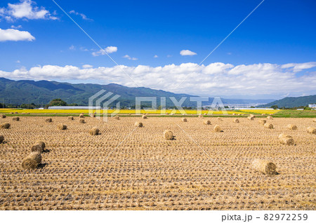 稲藁ロールのある風景 稲藁ロールのある風景 82972259