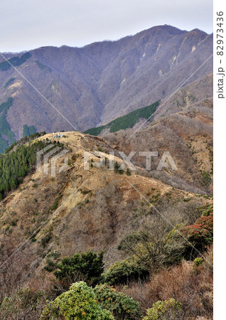 丹沢山地の三ノ塔より望む塔ノ岳と烏尾山 82973436