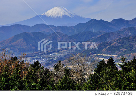 神奈川県秦野市 菜の花台より望む富士山 神奈川県秦野市 菜の花台より望む富士山 82973459