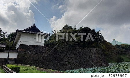 江戸城　北の丸　清水門と日本武道館 82973967