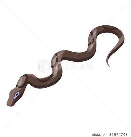 Venomous snake icon, isometric style 82974743