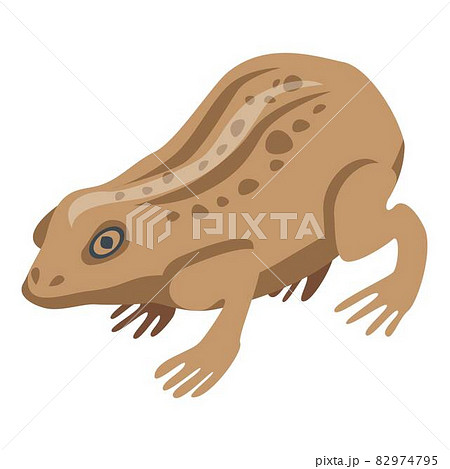Field frog icon, isometric style Field frog icon, isometric style 82974795