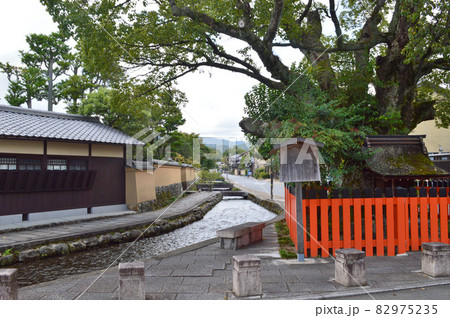 初秋の昼時に歩く京都市北区上賀茂社家町のせせらぎが心地良い 初秋の昼時に歩く京都市北区上賀茂社家町のせせらぎが心地良い 82975235