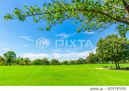 農業文化園・戸田川緑地、緑豊かで広大な芝生広場〈愛知県名古屋市〉 農業文化園・戸田川緑地、緑豊かで広大な芝生広場〈愛知県名古屋市〉 82976508