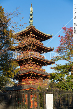 秋の深まる旧東叡山寛永寺五重塔の景色 秋の深まる旧東叡山寛永寺五重塔の景色 82976797