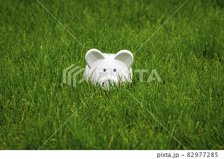 White piggy bank on grass field 82977285