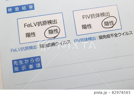 FeLV/FIVウィルス検査に関する書類 猫の病気 FeLV/FIVウィルス検査に関する書類 猫の病気 82978565