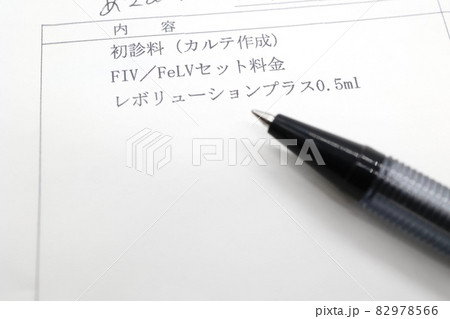 FeLV/FIVウィルス検査に関する書類　猫の病気 82978566