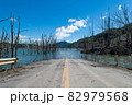 北海道夕張市　シューパロ湖に沈む旧道 82979568