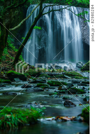 緑のモミジと滝　達沢不動滝 82980284