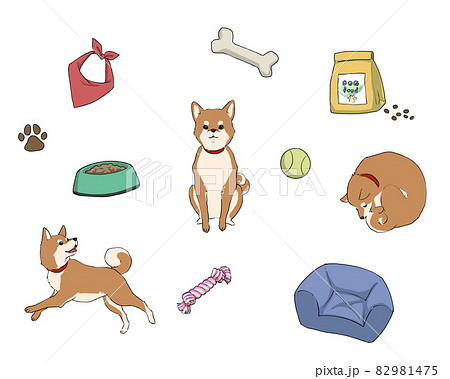 ペット用品と愛犬＿柴犬 82981475