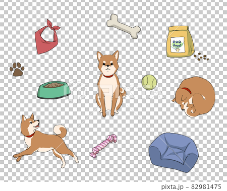 ペット用品と愛犬＿柴犬 82981475