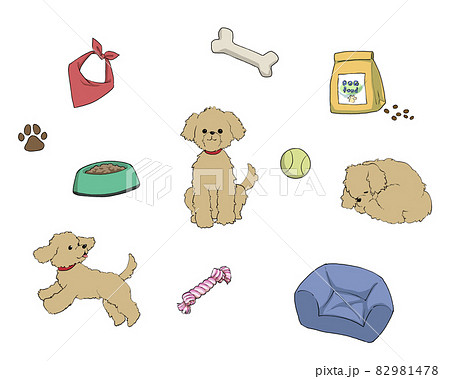 ペット用品と愛犬_トイプードル ペット用品と愛犬_トイプードル 82981478