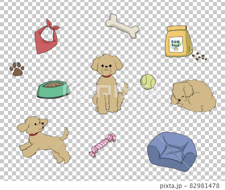 ペット用品と愛犬_トイプードル ペット用品と愛犬_トイプードル 82981478