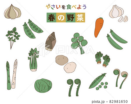 春の野菜と山菜セット 82981650