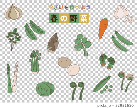 Spring vegetables and edible wild plants set 82981650