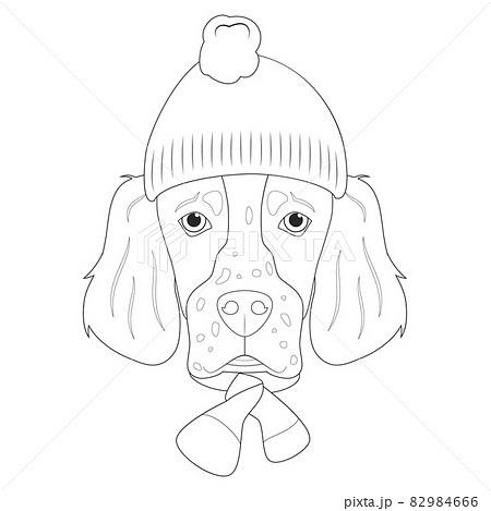 Christmas greeting card for coloring. English Setter dog wearing a woolen cap and a woolen scarf for winter 82984666