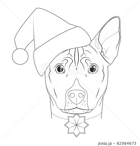 Christmas greeting card for coloring. Basenji dog with Santa's hat and a Christmas ornament 82984673