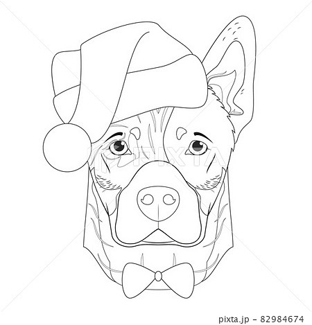 Christmas greeting card for coloring. Australian Cattle dog with Santa's hat and bow tie 82984674