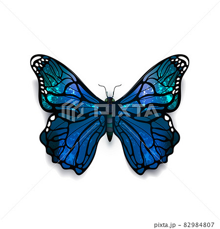 Beautiful blue detailed realistic butterfly on white 82984807