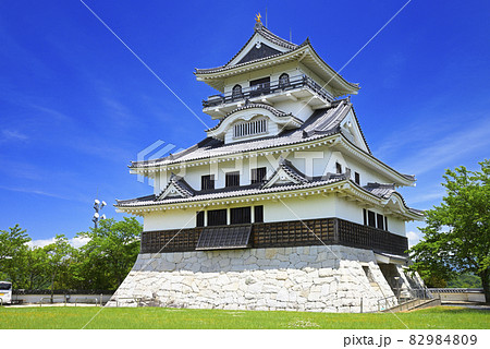 河原城（鳥取県鳥取市河原町） 82984809
