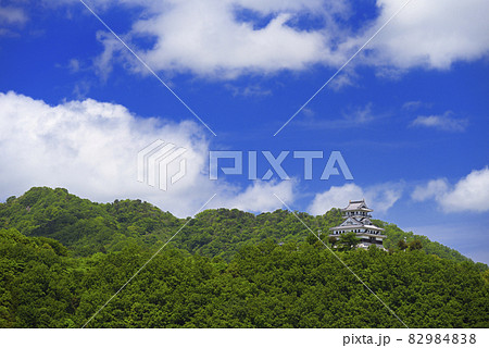 河原城(鳥取県鳥取市河原町) 河原城(鳥取県鳥取市河原町) 82984838