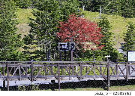 紅葉見頃な北八ヶ岳ロープウェイと坪庭 紅葉見頃な北八ヶ岳ロープウェイと坪庭 82985362