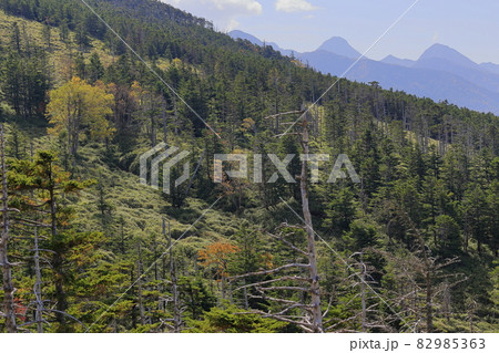 紅葉見頃な北八ヶ岳ロープウェイと坪庭 紅葉見頃な北八ヶ岳ロープウェイと坪庭 82985363